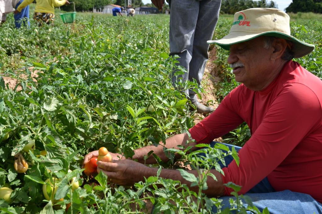 Ações fortalecem Agricultura Familiar de Pernambuco