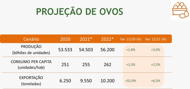 Consumo de ovos no Brasil: crescimento e dificuldades de produção