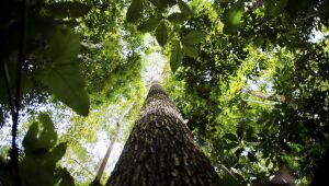 Brasil criou 278.639 empregos com carteira assinada em agosto