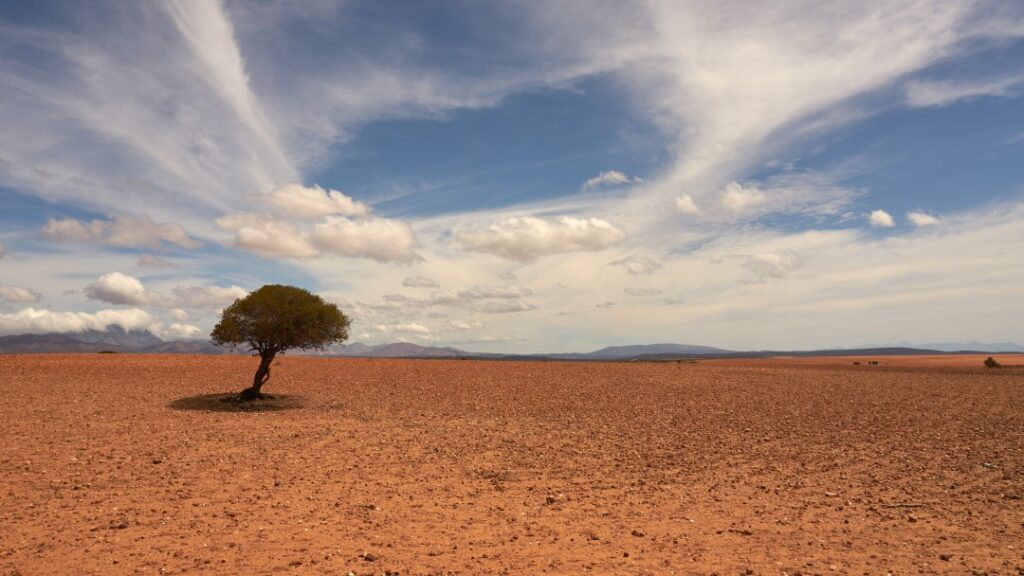 Novas tecnologias oferecem esperança para ação climática, segundo a OMM