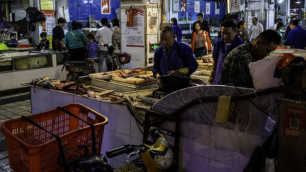 Estudo reitera ligação de animais do mercado de Wuhan à pandemia de Covid-19