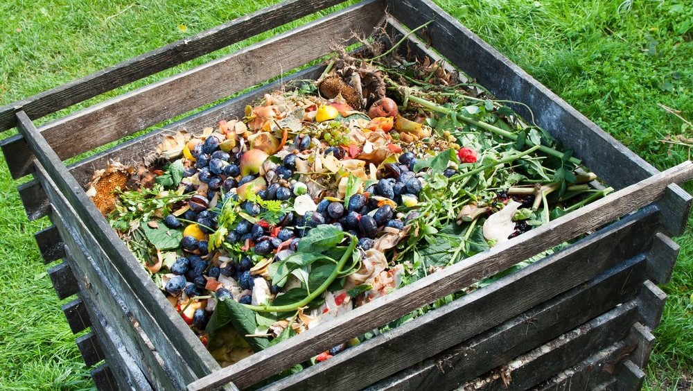 Perda e desperdício de alimentos geram até 10% das emissões globais, alerta ONU