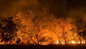 Incêndio em caminhão elétrico da Tesla gastou 190 mil litros de água para ser extinto