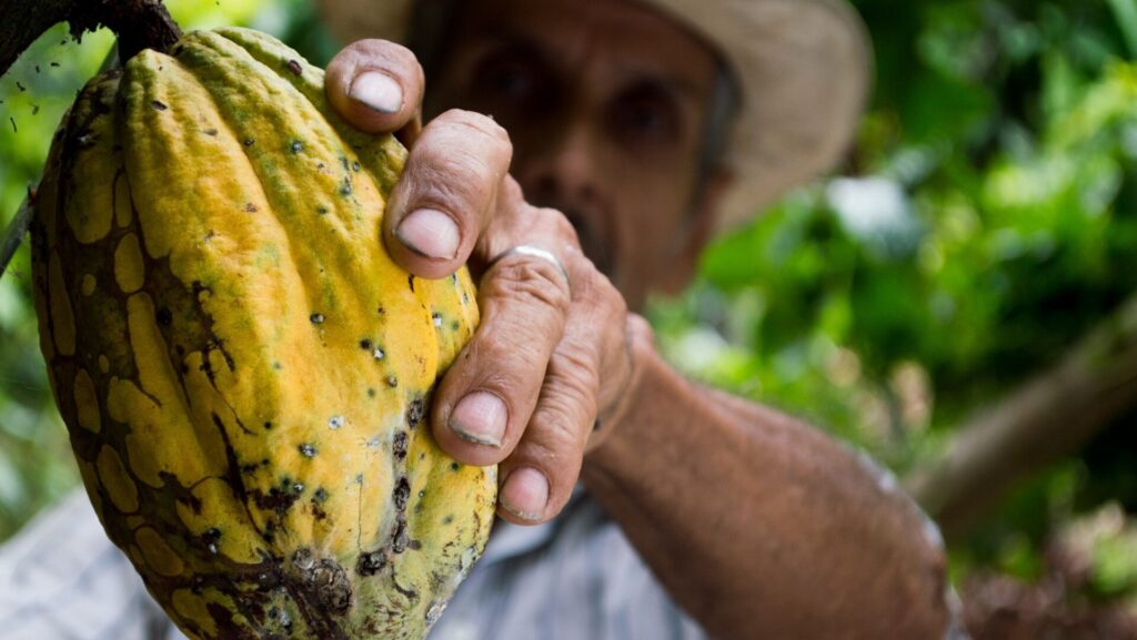 ONU debate soluções para impactos da crise do clima no mercado de commodities