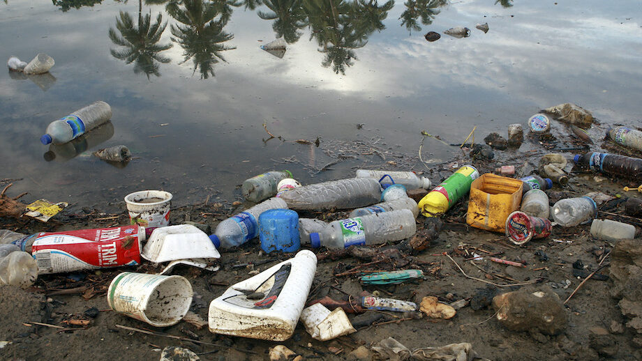 Universidade da ONU propõe cinco mudanças profundas para salvar o meio ambiente